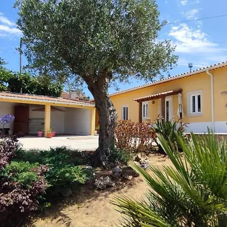Bed & Breakfast Kyrios Lounge Restful With Private Pool And Car Available Carrascal (Leiria)