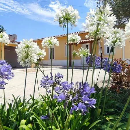 Kyrios Lounge Restful With Private Pool And Car Available Carrascal (Leiria)