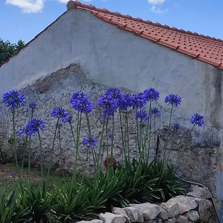 Kyrios Lounge Restful With Private Pool And Car Available Carrascal (Leiria)