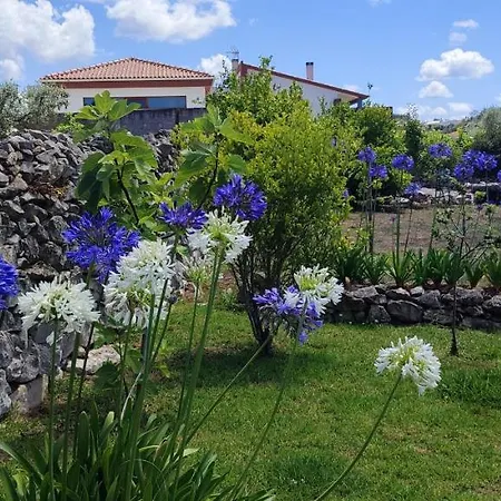 Bed & Breakfast Kyrios Lounge Restful With Private Pool And Car Available *