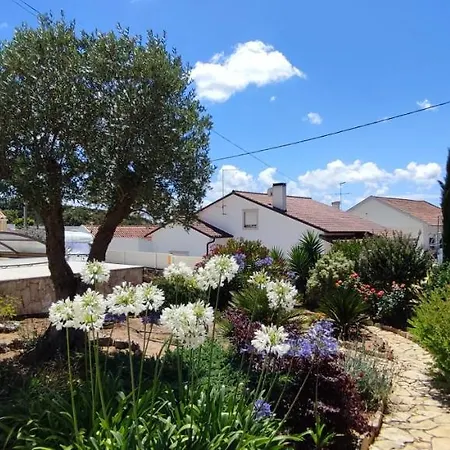 Kyrios Lounge Restful With Private Pool And Car Available *