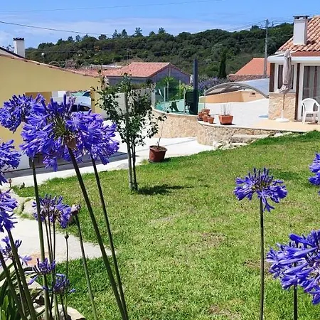 Kyrios Lounge Restful With Private Pool And Car Available Carrascal (Leiria)