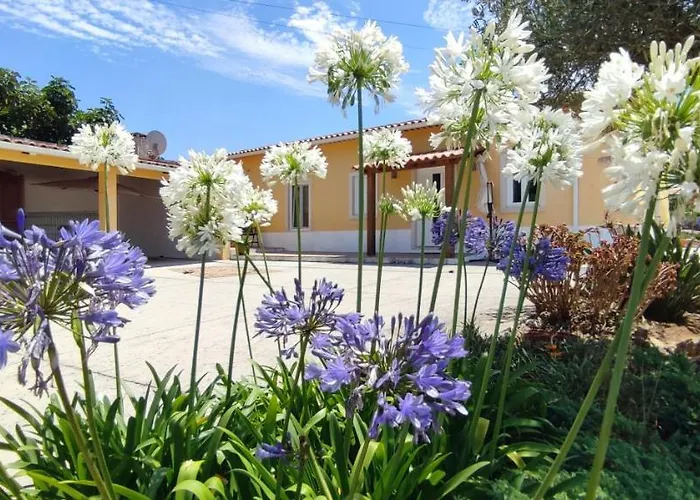 Kyrios Lounge With Use Of Private Pool Carrascal (Leiria)