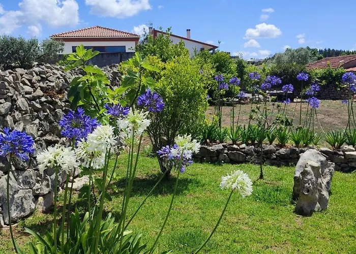 Bed & Breakfast Kyrios Lounge With Use Of Private Pool 3*